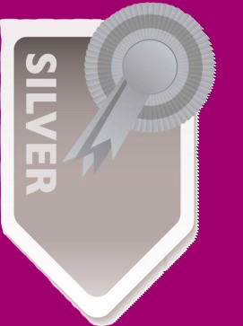 Silver Plan Image